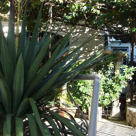 Apartmán Laura - 20m From The Sea Trogir
